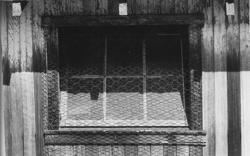 Barn window, Petaluma, California