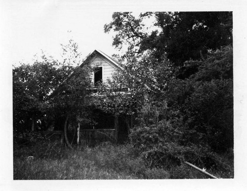 Residence, Sebastopol, California