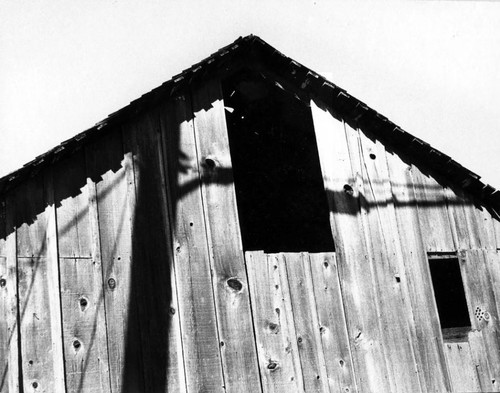 Barn, Cotati, California