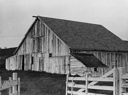 Barn, Petaluma California