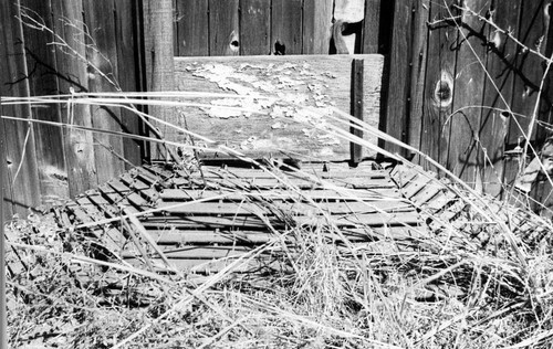 Barn wall, Petaluma, California