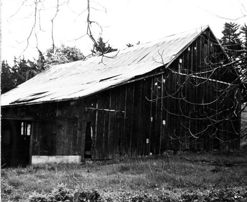 Barn, Sebastopol, California