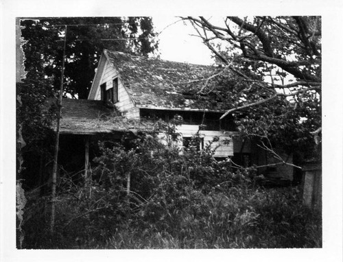 Residence, Sebastopol, California