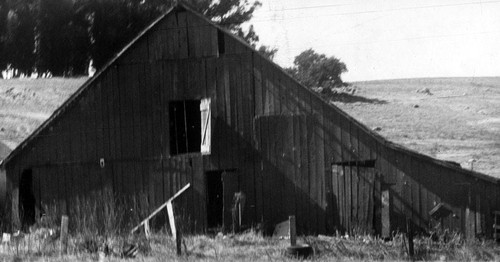 Barn, Petaluma, California