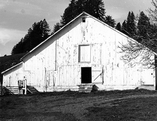 Barn on Coleman Valley Rd, Sebastopol, Calilfornia