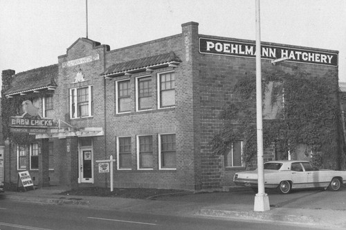 Commercial building, Petaluma, California