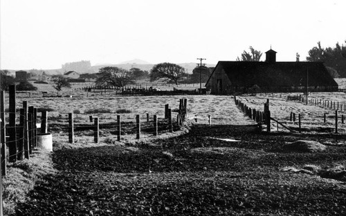 Barn, Petaluma, California