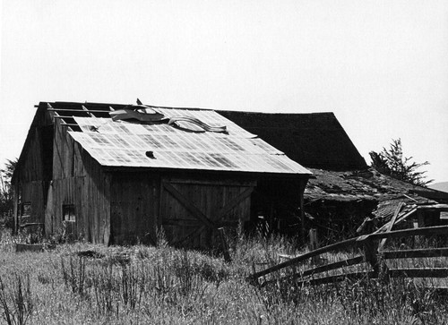 Barn, Petaluma California