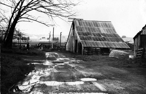 Haystack Landing, Petaluma, California