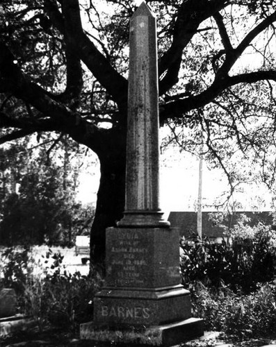 Cemetery, Bodega, California