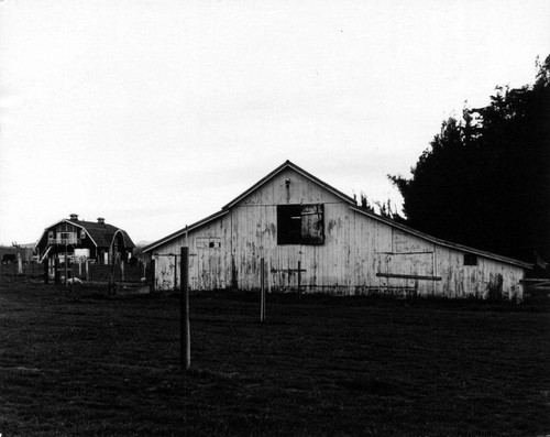 Barn, Petaluma California