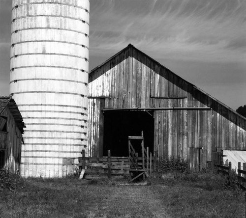 Barn and grain silo, Freestone, California