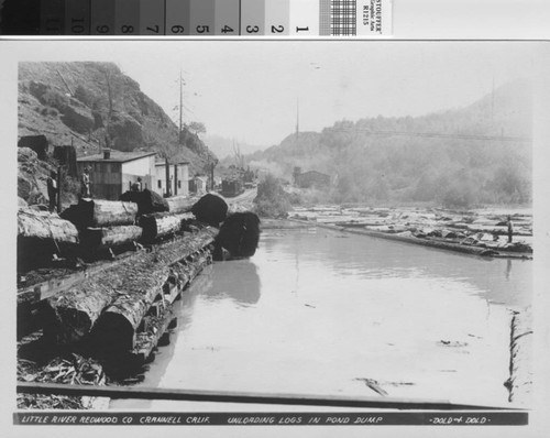 Unloading logs in pond dump