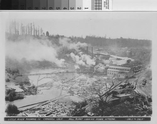 Mill plant looking down stream