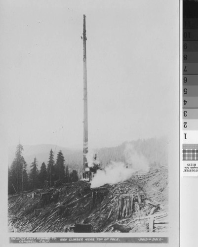 High climber near top of pole