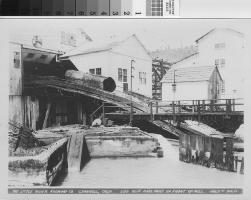 Log slip and part of front of mill