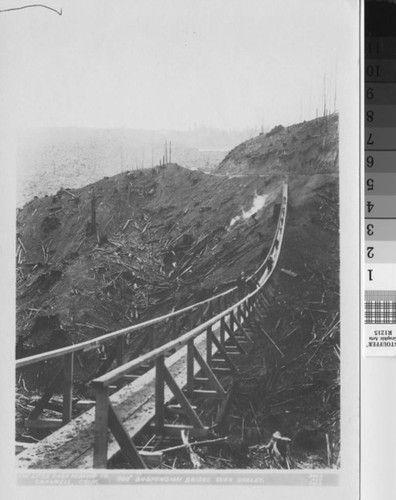 700' suspension bridge over gulley