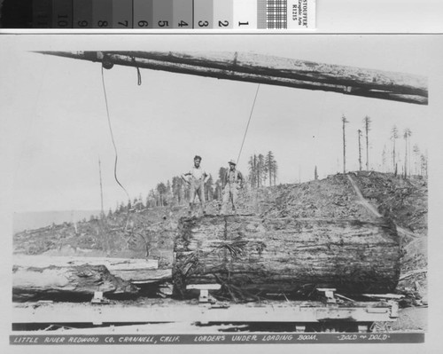 Loaders under loading boom