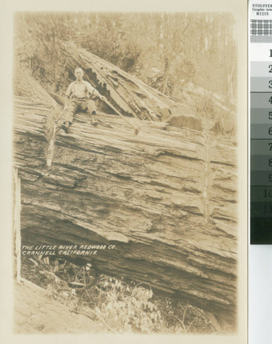 Little River Redwood Co., Crannell, California [promotional photograph with logger sitting on redwood log]