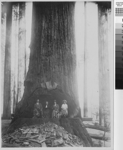 [Four people and one dog posed in cut of old growth redwood]