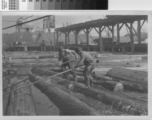 [Two workers rolling logs in log pond]