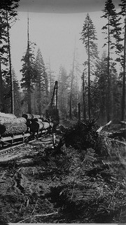 Logging Train, Sierra Nevadas, Tulare County, Calif., 1925