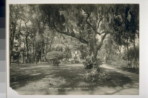 An Oakland Garden