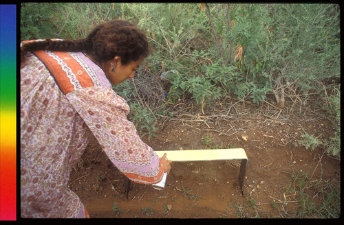 Border Sutures 1990