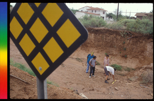 Border Sutures 1990