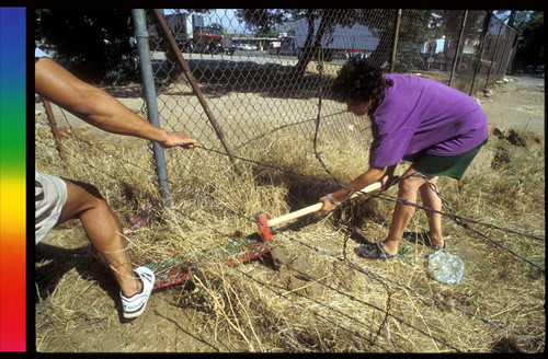 Border Sutures 1990