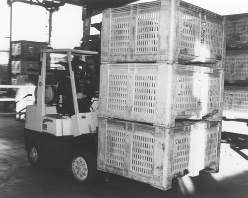 Villa Park Orchards Association interior with skip loader moving plastic field bins used for transporting oranges, 1996