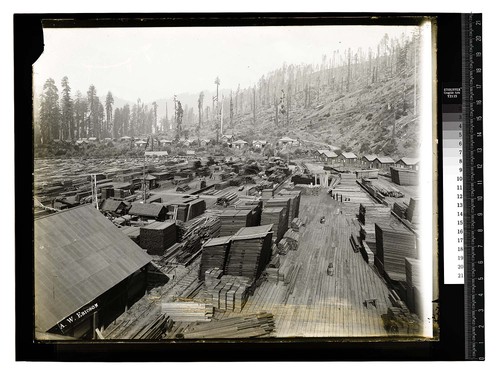 [Scotia - Pacific Lumber Co #2/unknown]