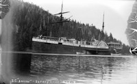 "S.S. Ancon, Safety Cove". [negative]