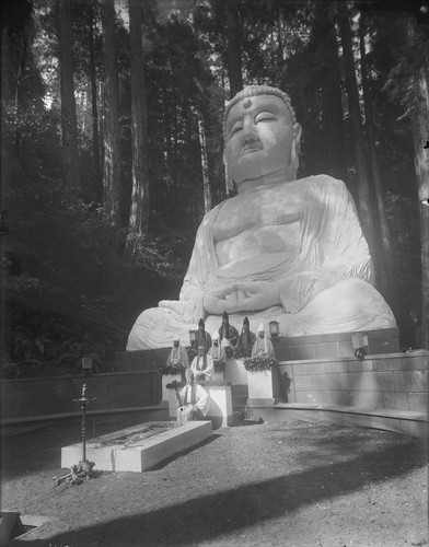 Buddha, Bohemian Grove. [negative]