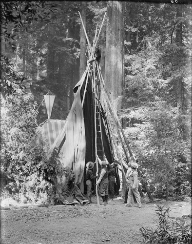 Men setting up tipi, Bohemian Grove. [negative]