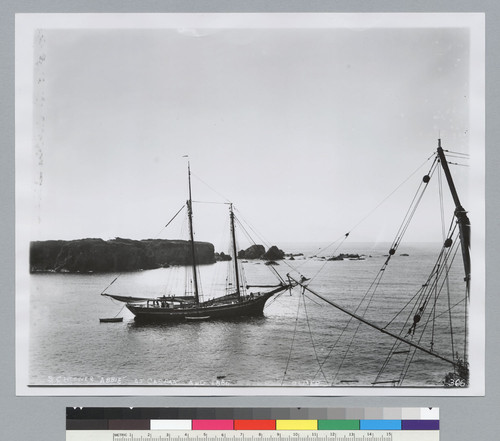 Abbie (lumber schooner), Casper, Mendocino County. [photographic print]