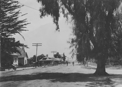 Residential street in Orange, California, ca. 1910