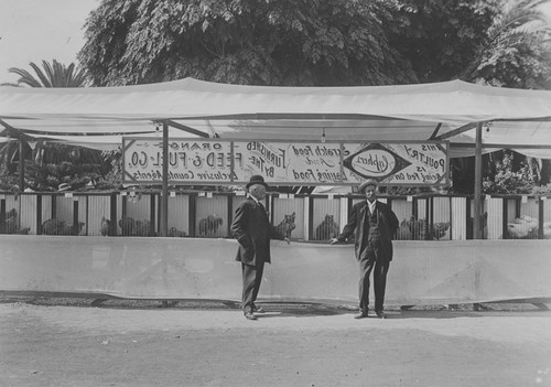 1910 Street Fair Poultry Exhibit around Plaza Park, Orange, California, 1910