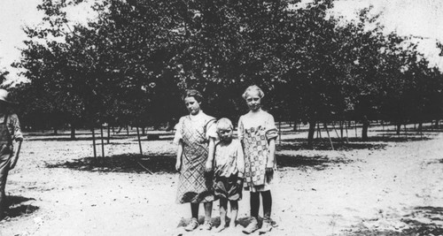 Three young girls in orchard, Orange, California