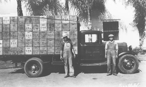 Consolidated Orange Growers truck loaded with orange crates in front of office, 1930