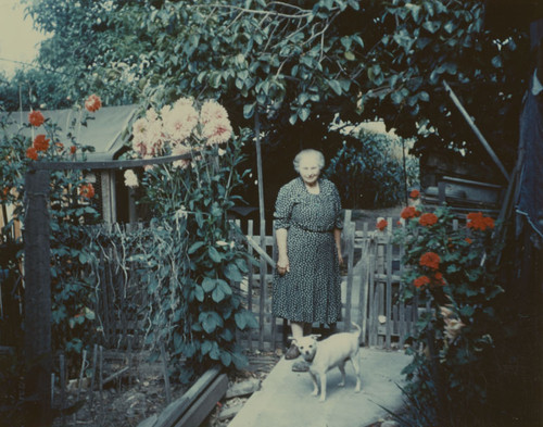 Grace Pitcher and dog in the yard of the family home, Orange, California, 1940s