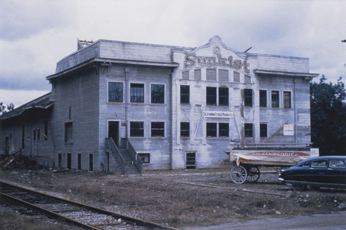 McPherson Heights Citrus Association Packing House, 1951