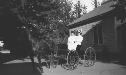 Minnie and Dora Hockenmeyer in a horse-drawn buggy in Santa Ana, California, 1909