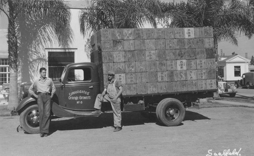 Consolidated Orange Growers truck loaded with crates