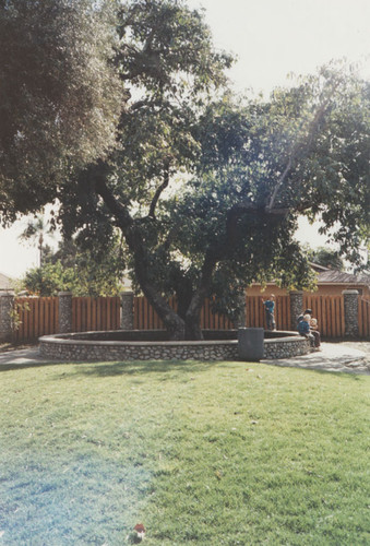 Pitcher Park, Orange, California, 1992