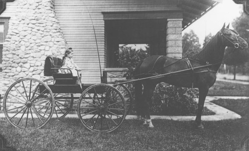 Hazel Stinson sitting in horse-drawn buggy, ca. 1910