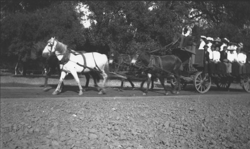 Orange County Park with horse-drawn haywagon, Orange, California, 1909