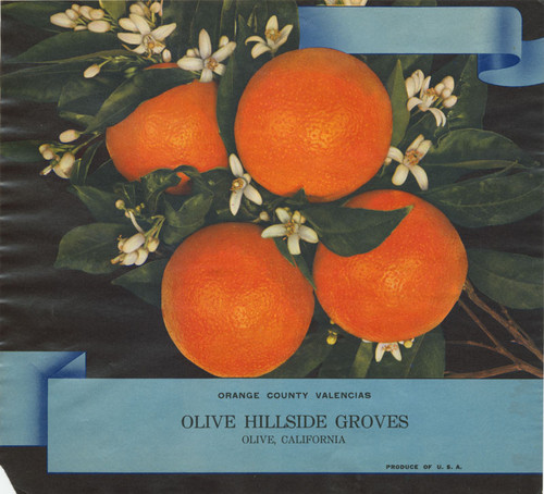 Crate label, Orange County Valencias, Olive Hillside Groves, Olive, California