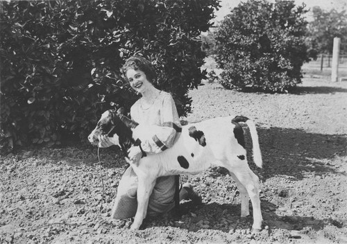 Zola Powelson Maag in Orange County Fair publicity photo with calf, 1922