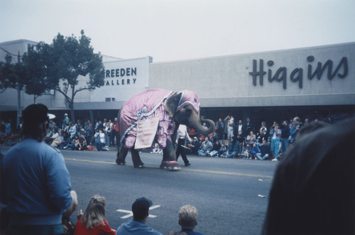 KLOS Radio's Mark and Brian "Day Before Thanksgiving" Parade with elephant walking down South Glassell Street, Orange, California, 1995